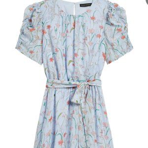 Banana Republic Light Blue Floral Dress Sz 4 NWT